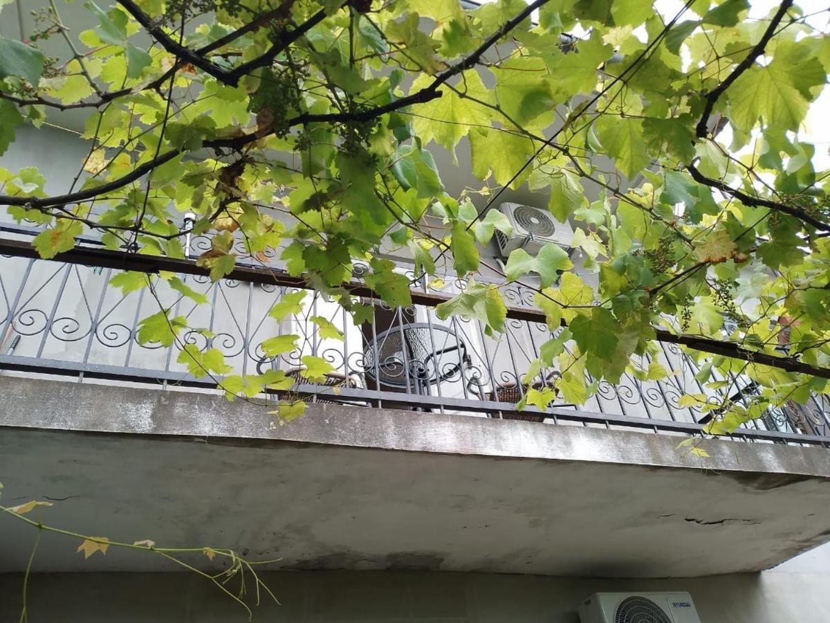 Merabi And Neli Guest House 马钦加里 外观 照片