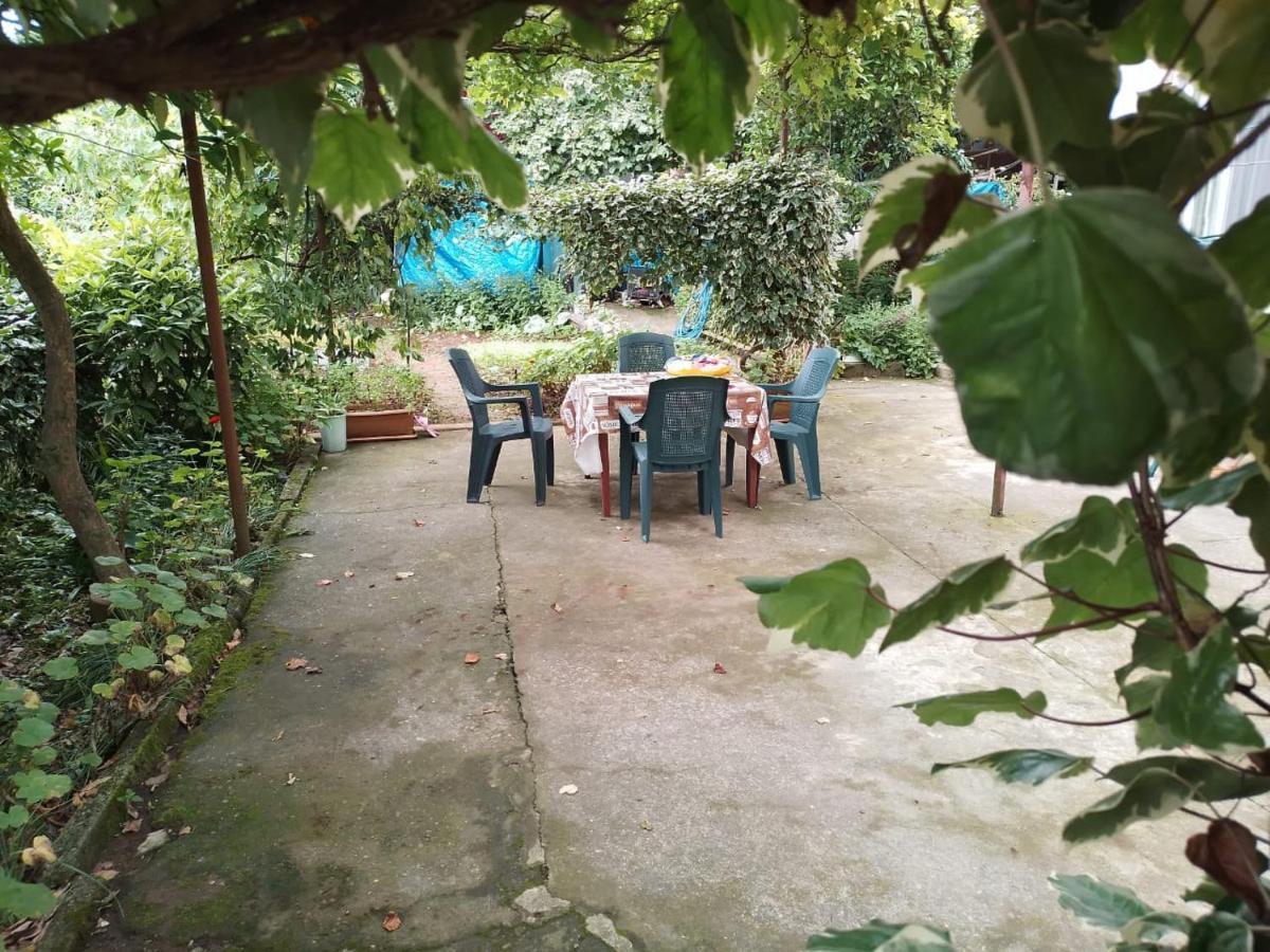 Merabi And Neli Guest House 马钦加里 外观 照片