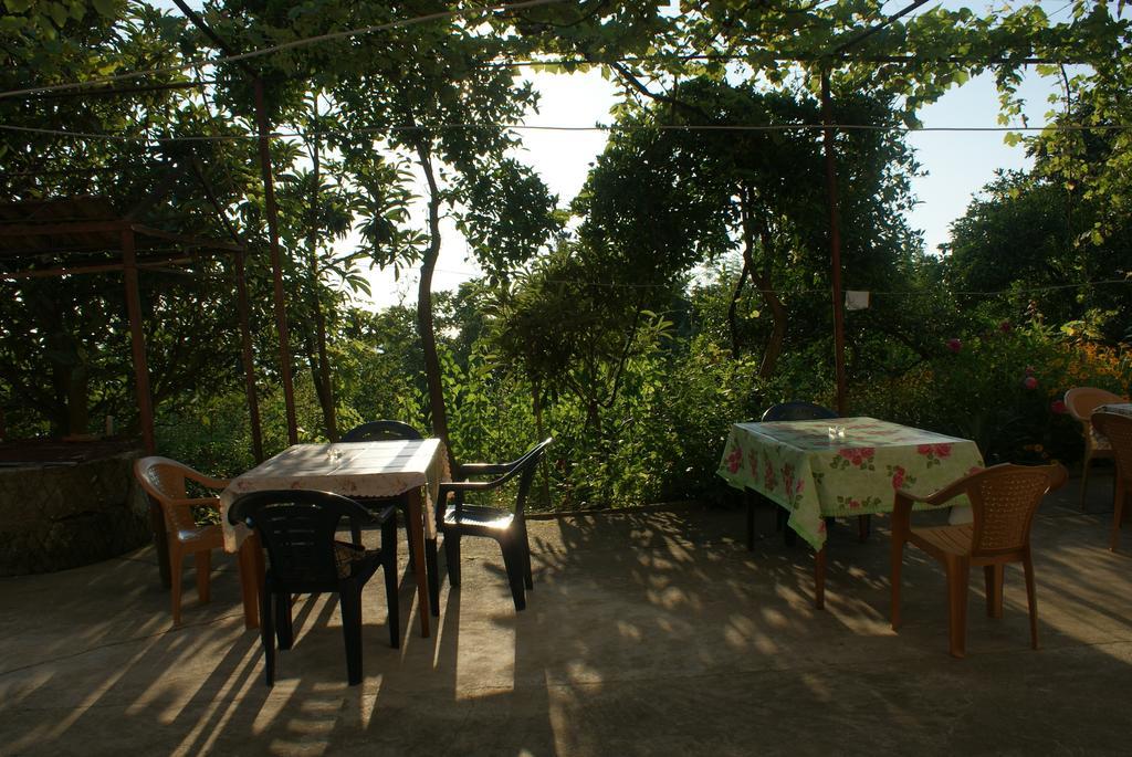 Merabi And Neli Guest House 马钦加里 客房 照片