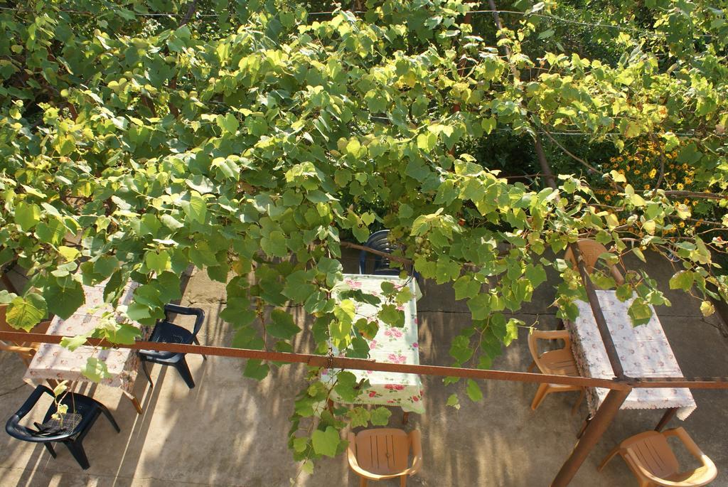 Merabi And Neli Guest House 马钦加里 客房 照片
