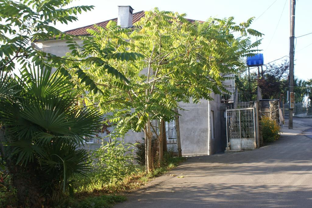 Merabi And Neli Guest House 马钦加里 外观 照片